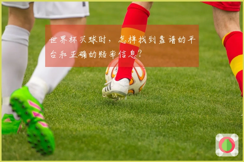 世界杯买球时，怎样找到靠谱的平台和正确的赔率信息？