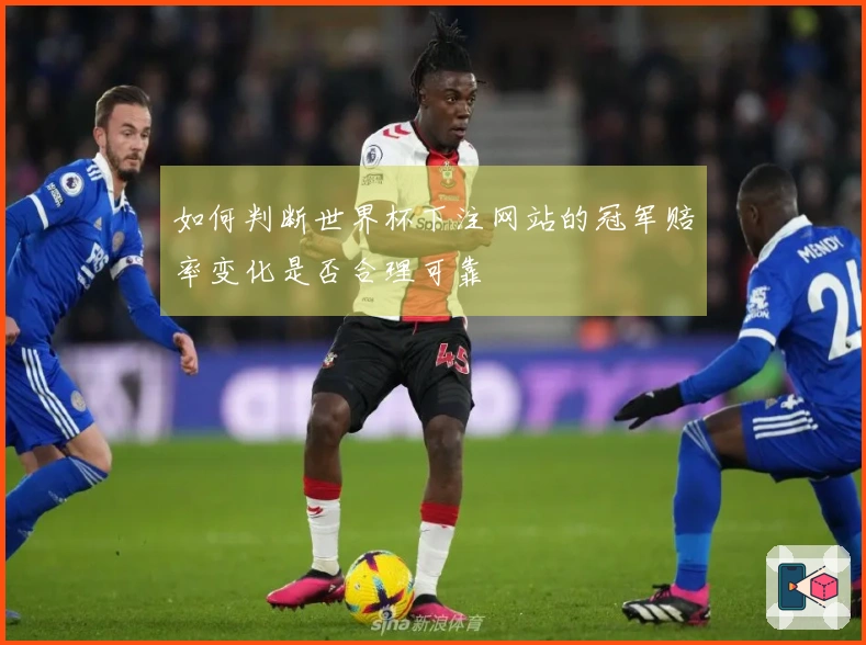 如何判断世界杯下注网站的冠军赔率变化是否合理可靠