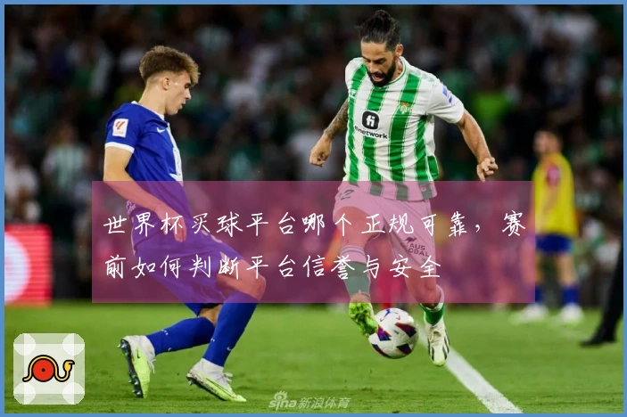 世界杯买球平台哪个正规可靠，赛前如何判断平台信誉与安全
