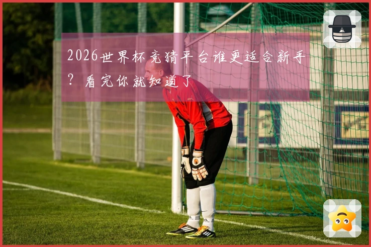 2026世界杯竞猜平台谁更适合新手？看完你就知道了