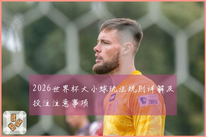 2026世界杯大小球玩法规则详解及投注注意事项