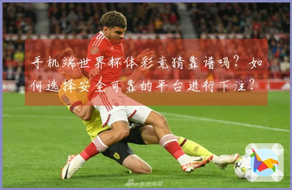 手机端世界杯体彩竞猜靠谱吗？如何选择安全可靠的平台进行下注？