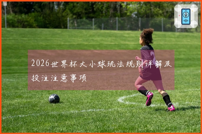 2026世界杯大小球玩法规则详解及投注注意事项