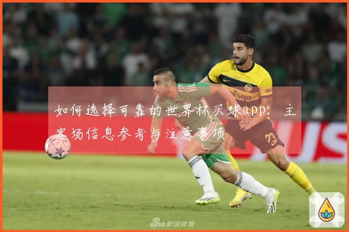如何选择可靠的世界杯买球app：主客场信息参考与注意事项
