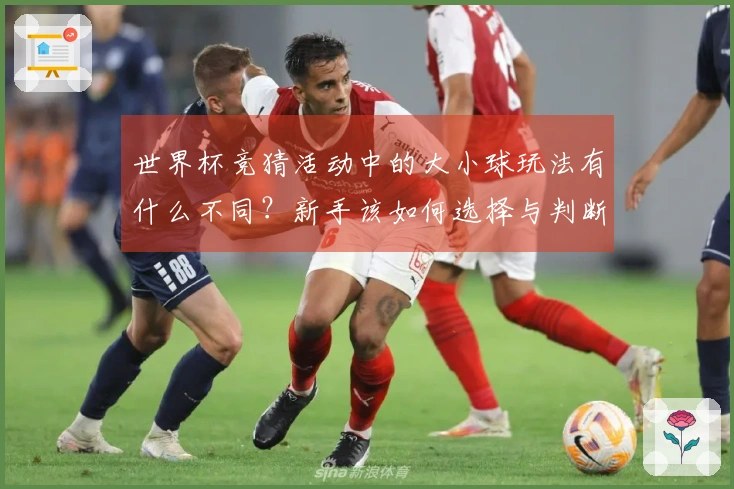 世界杯竞猜活动中的大小球玩法有什么不同？新手该如何选择与判断？